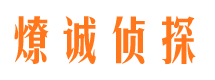 洛宁调查取证